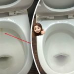 Et produkt gør din toiletkumme skinnende hvid: Sådan tackler du