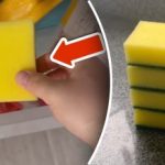 Hvorfor lægge en svamp i fryseren: et simpelt trick vil